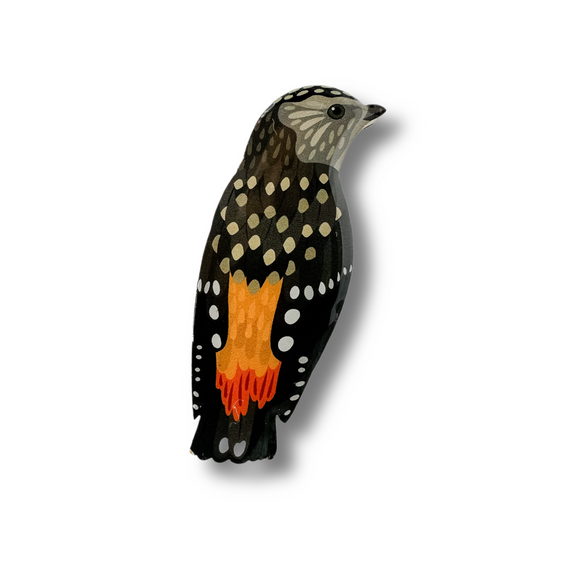 Spotted Pardalote Brooch
