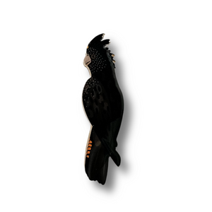 Red-tailed Black Cockatoo (Female) Brooch