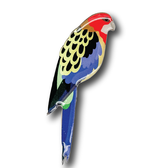 Eastern Rosella Brooch