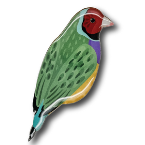 Gouldian Finch Brooch