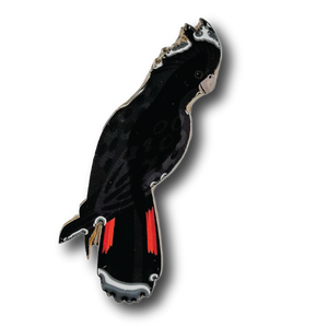 Red-tailed Black Cockatoo (Male) Brooch