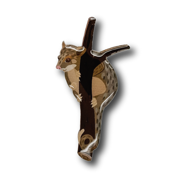 Ringtail Possum Brooch