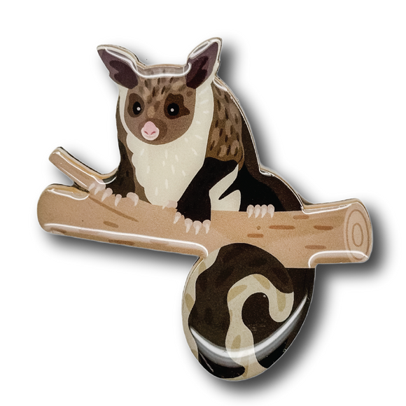 Yellow-bellied Glider Brooch