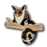 Yellow-bellied Glider Brooch