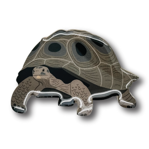 Galapagos Tortoise Brooch