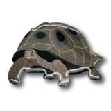 Galapagos Tortoise Brooch