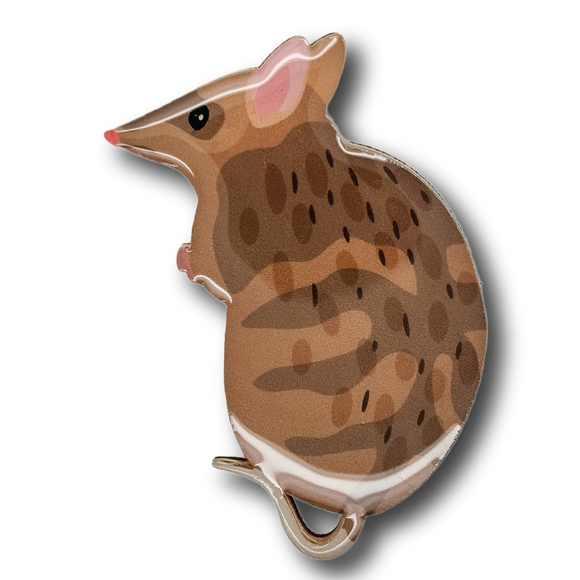 Eastern Barred Bandicoot Brooch