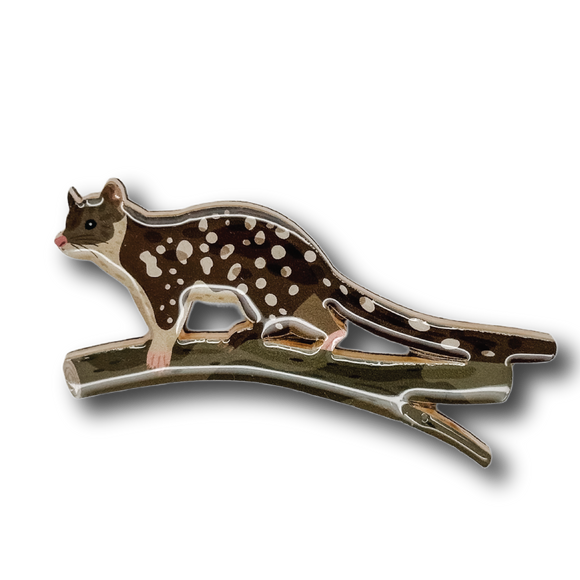 Spotted-tailed Quoll Brooch